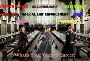 Hogwarts Job Portal Quiz