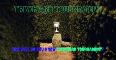 Triwizard Tournament Trivia