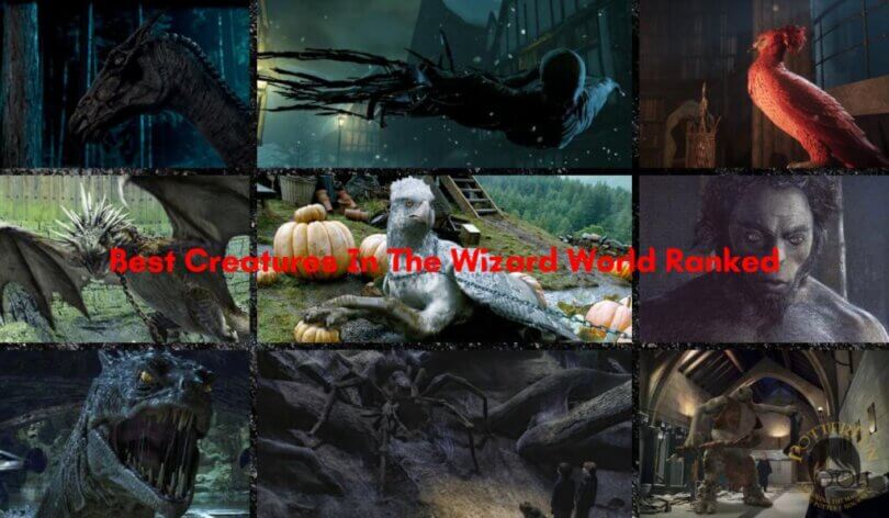 9 Best Creatures In The Wizard World Ranked