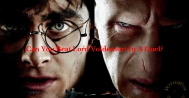 Can You Kill Voldemort Quiz