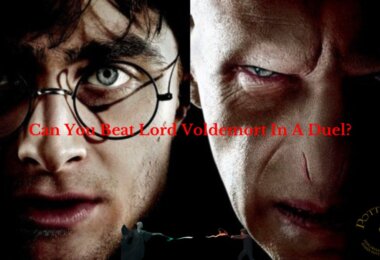 Can You Kill Voldemort Quiz