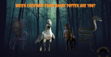 Harry Potter Creature Quiz