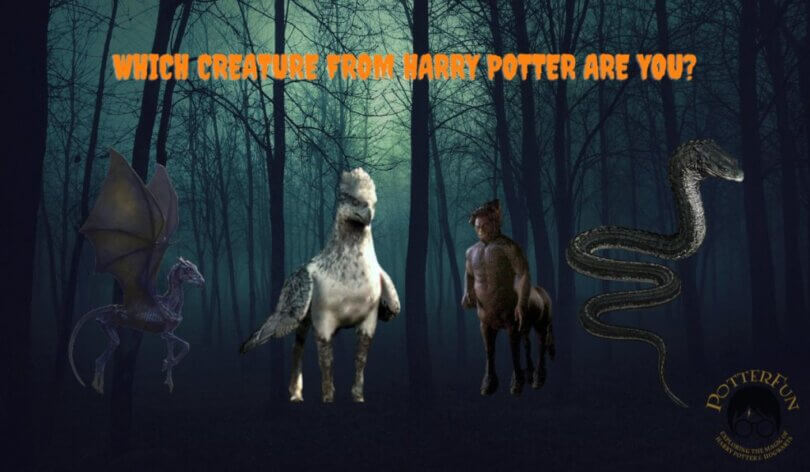 Harry Potter Creature Quiz