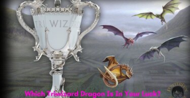 Triwizard Dragon Quiz