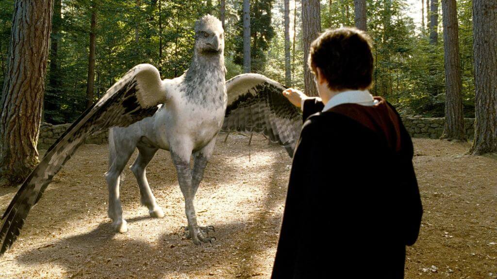 You Are A Hippogriff