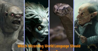 Harry Potter Language Learning Quiz