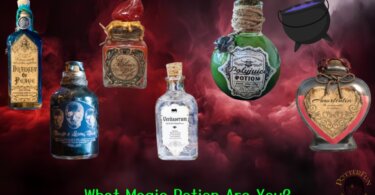 Which Magical Potion Are You Quiz