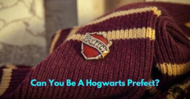 Hogwarts Prefect Quiz