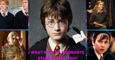 Hogwarts Student Type Quiz