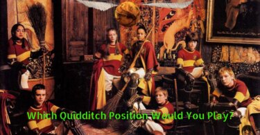 Quidditch Position Quiz