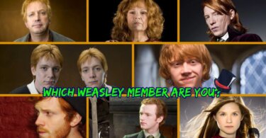 Weasley Family Quiz