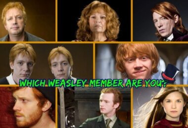 Weasley Family Quiz