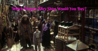 Which Diagon Alley Shop Is Yours Quiz