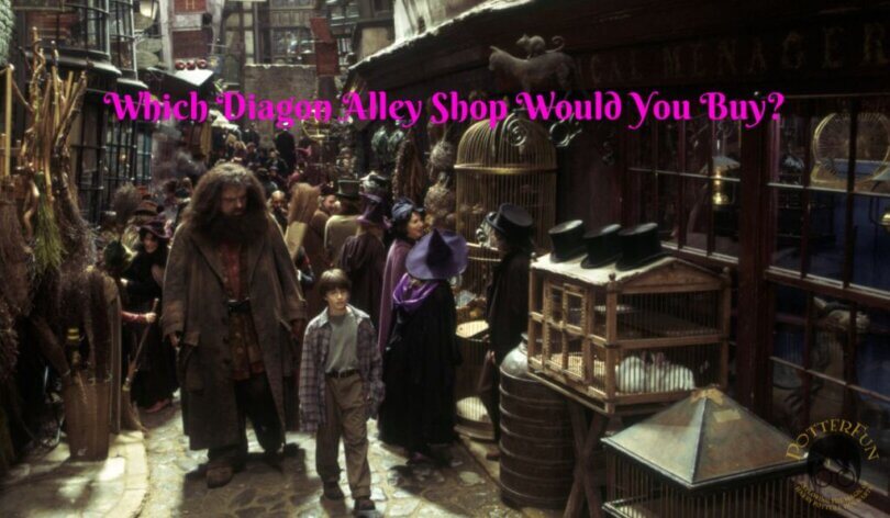 Which Diagon Alley Shop Is Yours Quiz