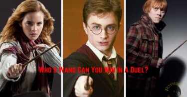 Win A Wand Quiz