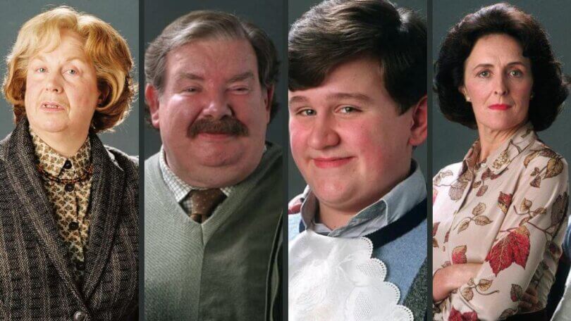 Dursley Family Quiz – Which Family Member Are You? | PotterFun