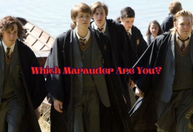 Marauder Hunter Quiz