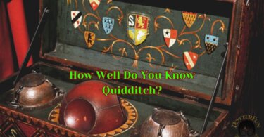 Quidditch Trivia