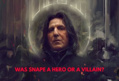 Was Snape A Hero Or A Villain