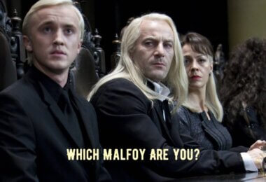 The Malfoy Family Quiz