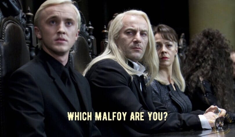 The Malfoy Family Quiz