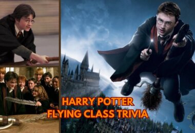 Harry Potter Flying Class Quiz