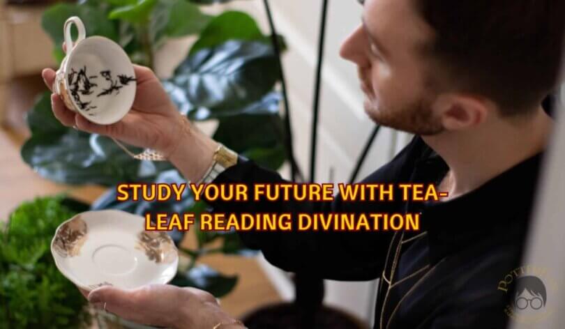 Study Your Future With Tea-Leaf Reading Divination