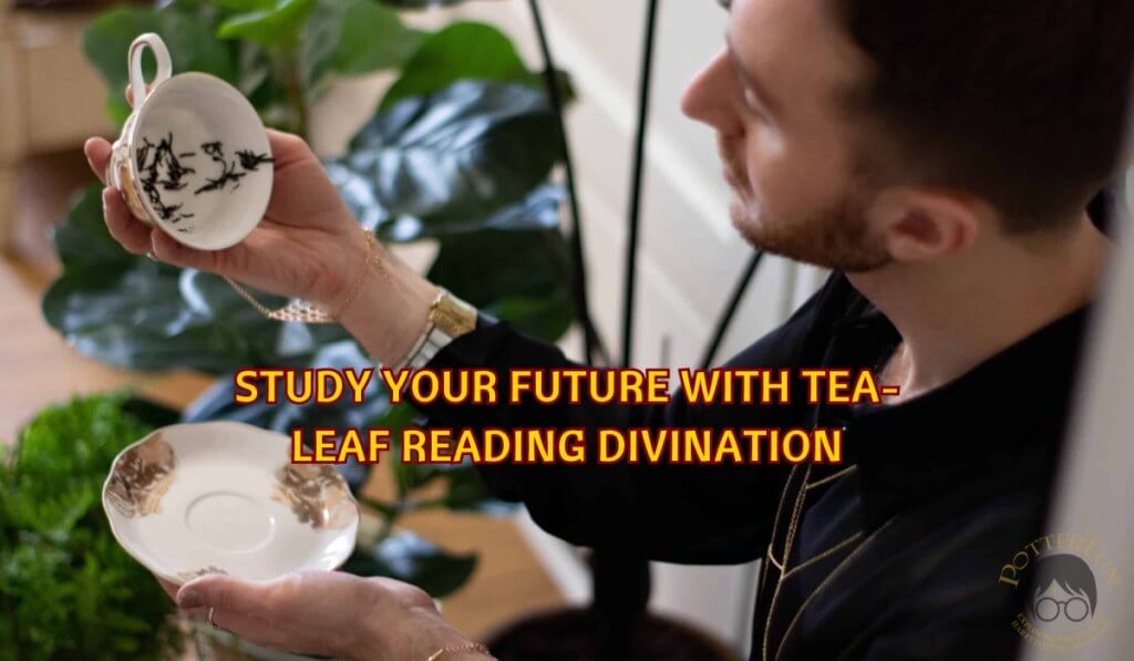 Study Your Future With Tea-Leaf Reading Divination | PotterFun